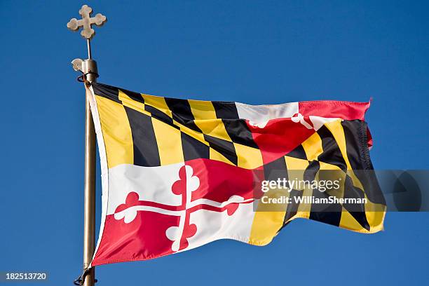 maryland state flag waving in the breeze - maryland flag stock pictures, royalty-free photos & images