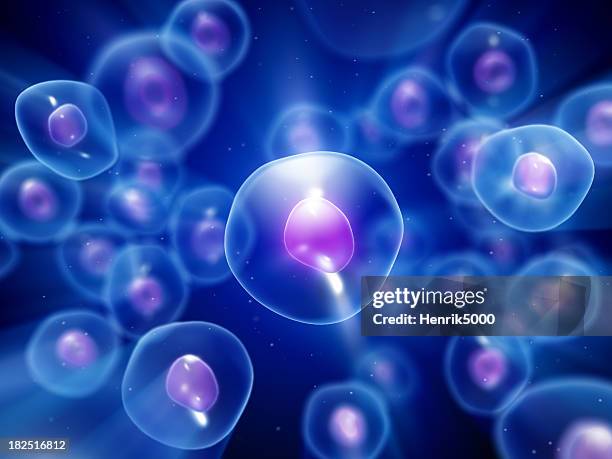 group of blue-colored cells under microscope - human egg stockfoto's en -beelden