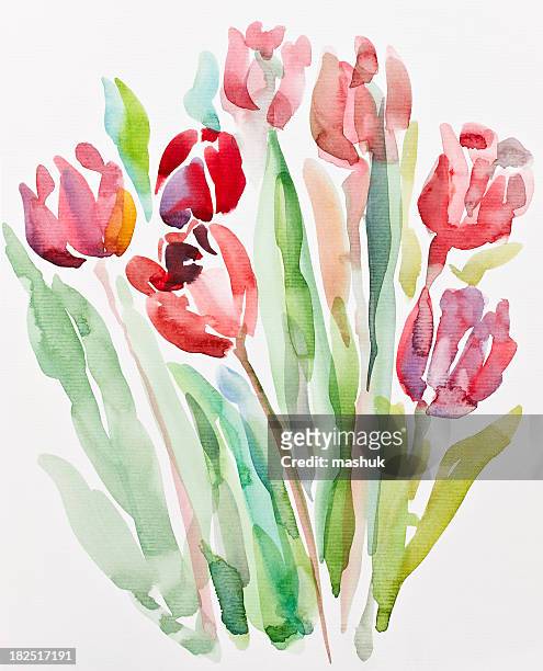 bildbanksillustrationer, clip art samt tecknat material och ikoner med tulips, watercolor painting - tulpaner