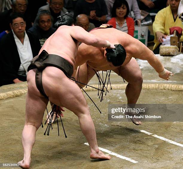 Mongolian yokozuna Hakuho , whose real name is Mnkhbatyn Davaajargal and ozeki Kisenosato compete during day fourteen of the Grand Sumo Autumn...