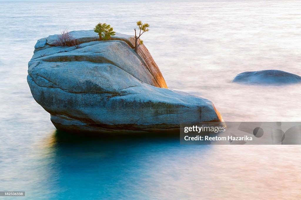 Bonsai Rock, Lake Tahoe - Nevada