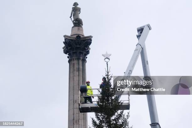 Placing the decorations and the star as the Christmas tree is installed in Trafalgar Square.