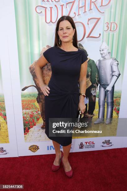 Marcia Gay Harden seen at Warner Bros. World premiere screening of The Wizard of Oz in IMAX 3D and the grand opening of the newly converted TCL...