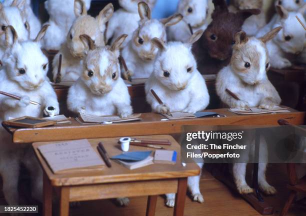 Stuffed rabbits posed in the "Rabbits' Village School", the work of taxidermist Walter Potter , known for his anthropomorphic dioramas, first...