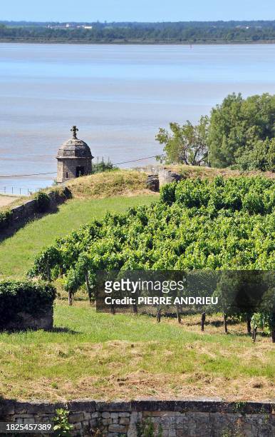 Photo taken on July 15, 2008 showing the Blaye's Vauban citadell above the Gironde estuary, southwestern France. The Vauban citadell has been listed...