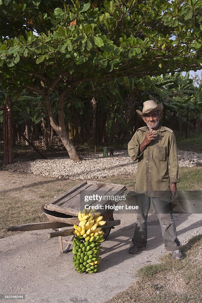 Man with roadside bananas for sale