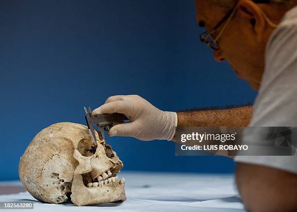 An archaeologist measures a skull that belonged to a pre-Hispanic indigenous man at the Pre-Hispanic Ossuarty in Cali, Colombia, on September 30,...