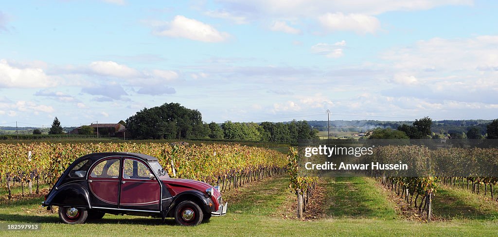 2013 Wine Harvest At Chateau Fontcaillle Bellevue