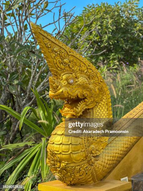 1,230 Snake Worship Stock Photos, HighRes Pictures, and Images Getty