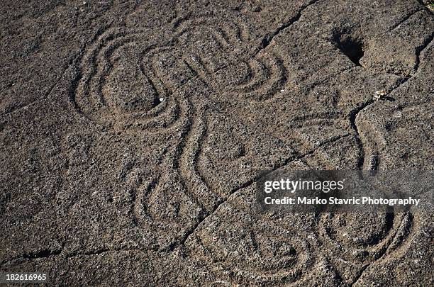 squid petroglyph - no película chilena de 2012 fotografías e imágenes de stock