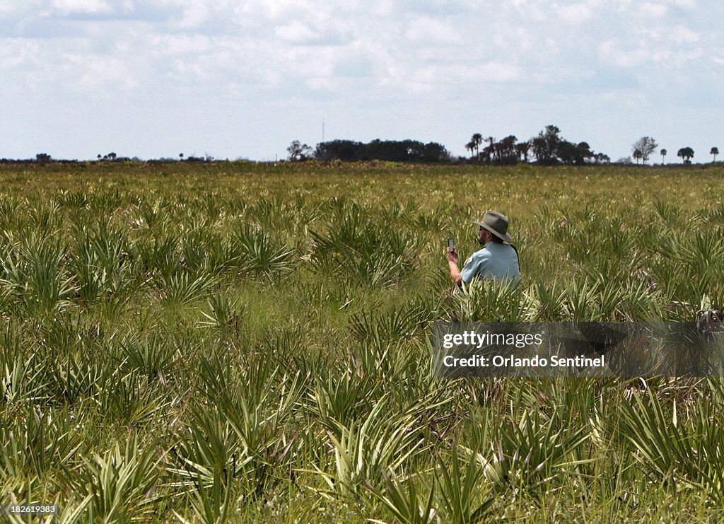 ENV-GRASSHOPPER-SPARROW