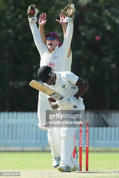 James Peirson of Queensland celebrates the dismissal of Solomon Mire of Victoria during day three of the Futures League match between Queensland and...