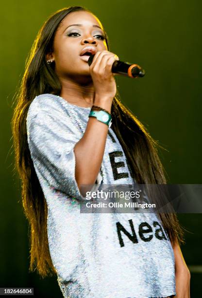 Performs on stage on Day 2 of Fusion Festival 2013 at Cofton Park on September 1, 2013 in Birmingham, England.