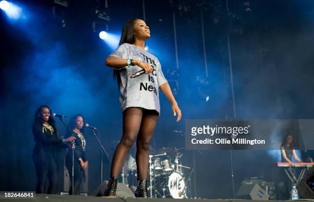 Performs on stage on Day 2 of Fusion Festival 2013 at Cofton Park on September 1, 2013 in Birmingham, England.