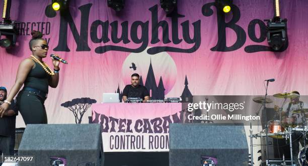 Naughty Boy perform on stage on Day 2 of Fusion Festival 2013 at Cofton Park on September 1, 2013 in Birmingham, England.