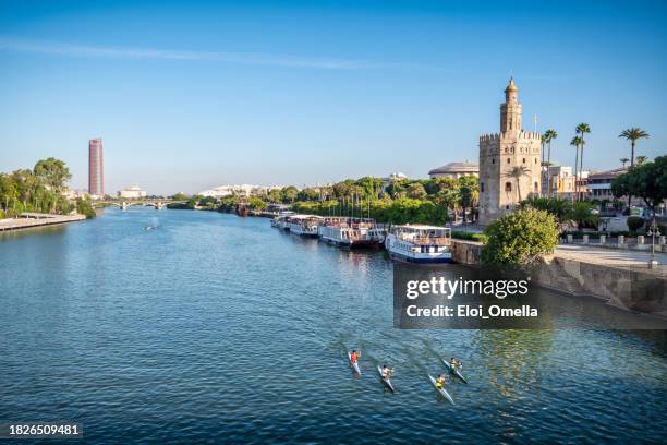 guadalquivir river and the golden tower - seville landscape stock pictures, royalty-free photos & images