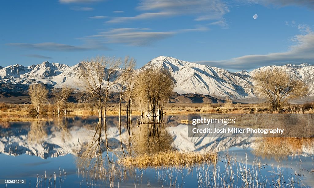 Early morning winter light and setting moon over an Eastern Sierra Pond, Owens Valley, California