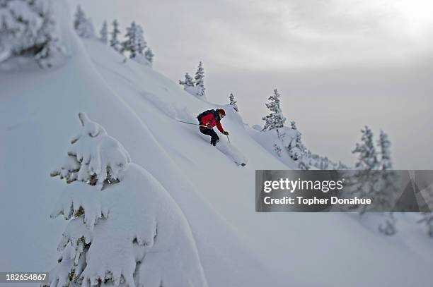 a woman skis through dreamy light. - extreem skiën stockfoto's en -beelden