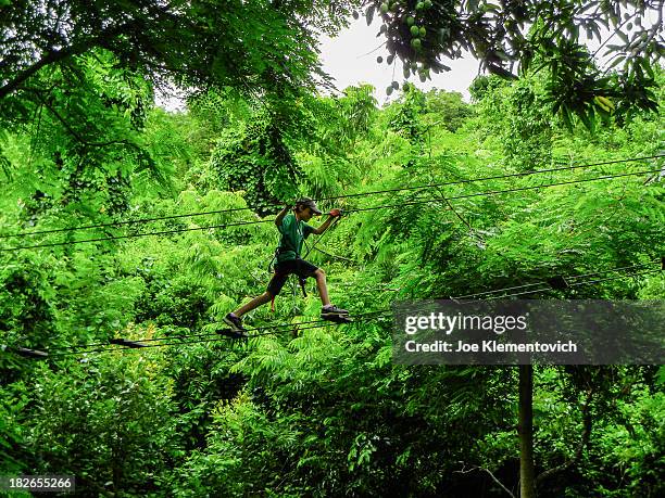 Jungle High Ropes Kids High Ropes Photos and Premium High Res Pictures - Getty Images