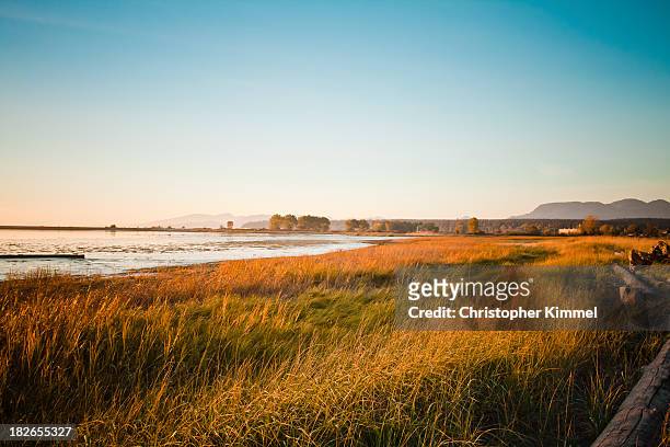 iona bay - richmond   british columbia stock pictures, royalty-free photos & images