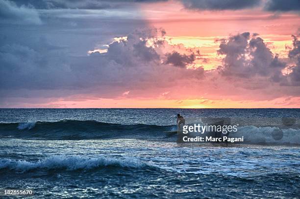 surfer at sunset in rincon, puerto rico - surfers in the sea at sunset stock pictures, royalty-free photos & images
