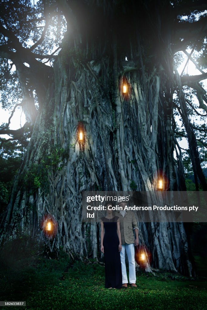 Couple by illuminated banyan tree