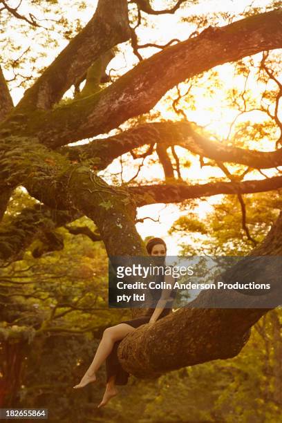 pacific islander woman sitting in banyan tree - banyan tree fotografías e imágenes de stock