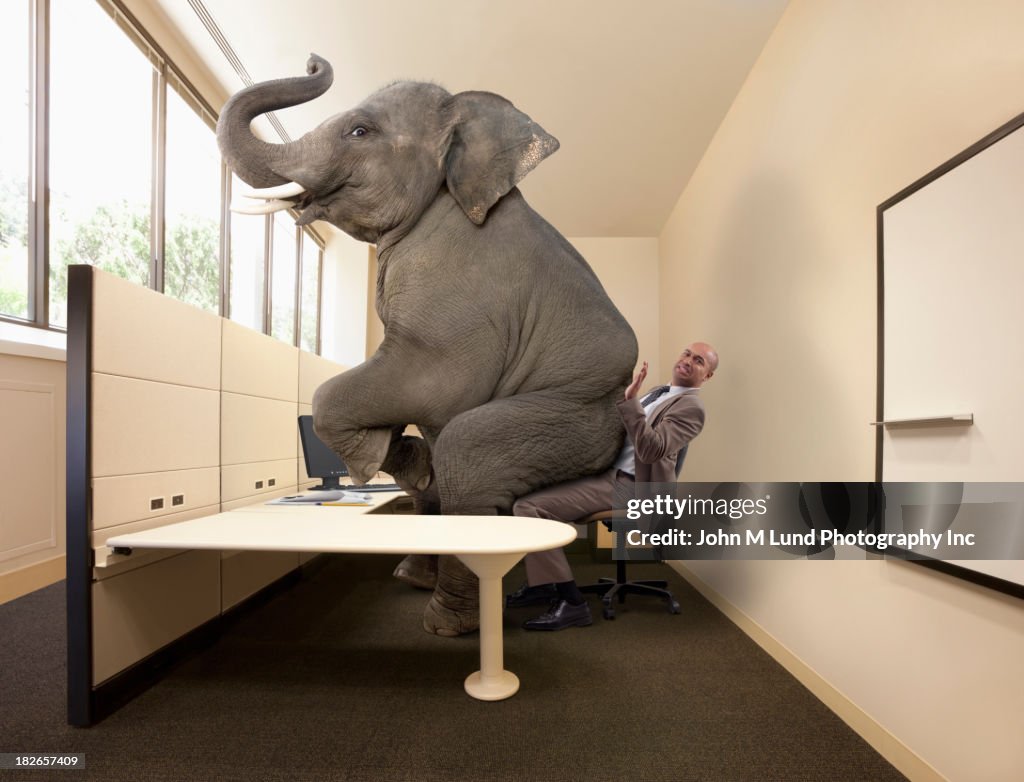 Elephant sitting on mixed race businessman's lap