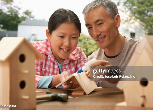 father and daughter making birdhouses together - birdhouse stock pictures, royalty-free photos & images