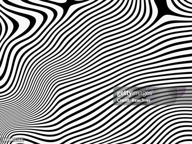 abstract line art - zebra print - black-and-white-lines stock pictures, royalty-free photos & images