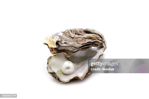 pearl - oyster pearl stockfoto's en -beelden