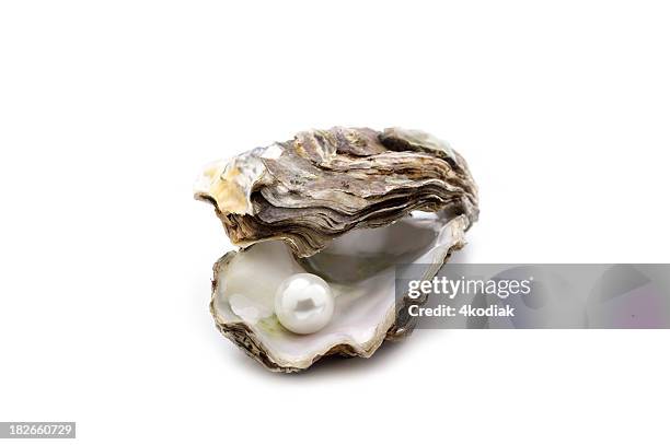 pearl - oyster pearl - fotografias e filmes do acervo