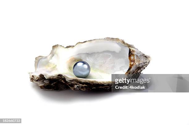 shiny pearl in oyster shell - oyster pearl stockfoto's en -beelden