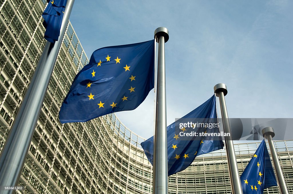 Euro Fahnen der Europäischen Kommission