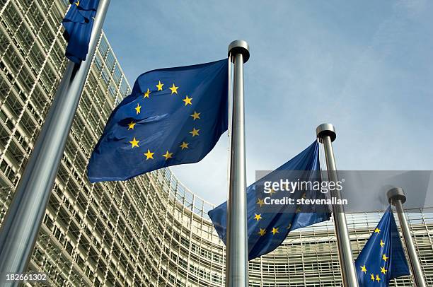 euro flags european commission - europeiska kommissionen bildbanksfoton och bilder