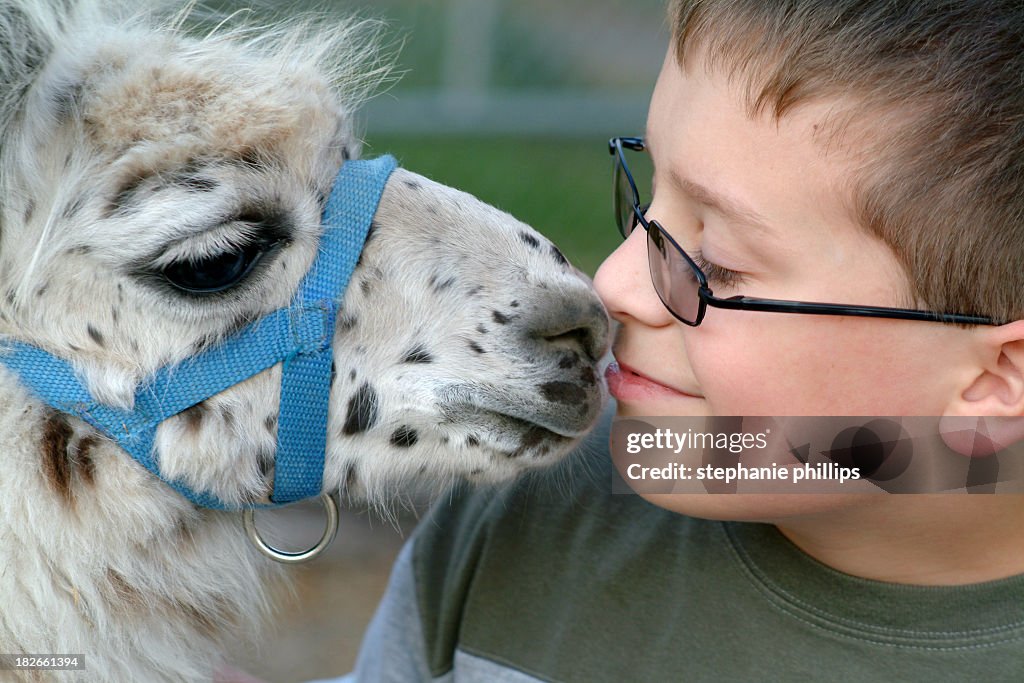 Young Boy Sitting with His Friendly Lama