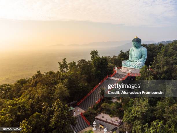 daibutsu buddha - giant buddha stock pictures, royalty-free photos & images