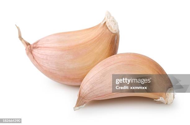 knoblauch - garlic clove stock-fotos und bilder