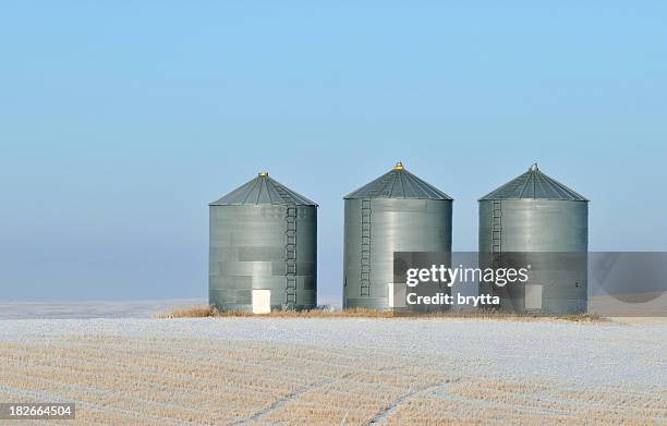 grain-aufbewahrung im winter landschaft in alberta, kanada - getreidespeicher stock-fotos und bilder