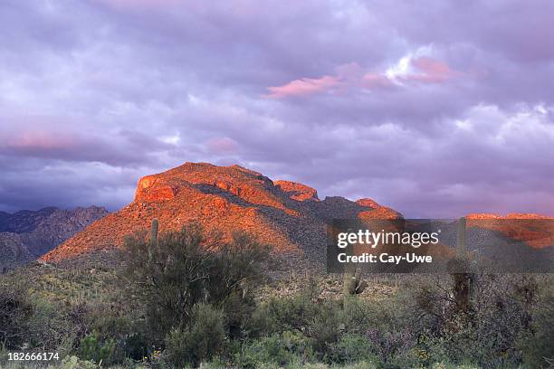 alpenglow at sabino canyon - tucson arizona stock pictures, royalty-free photos & images