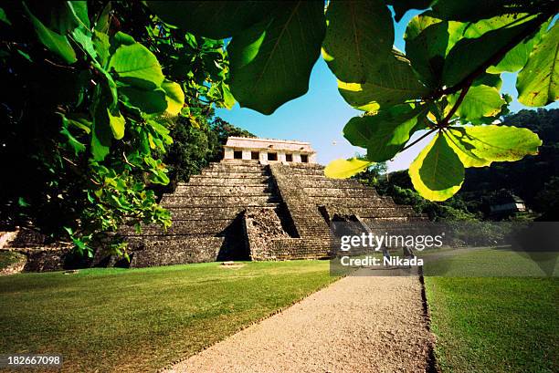 maya temple - maya artifacts stock pictures, royalty-free photos & images