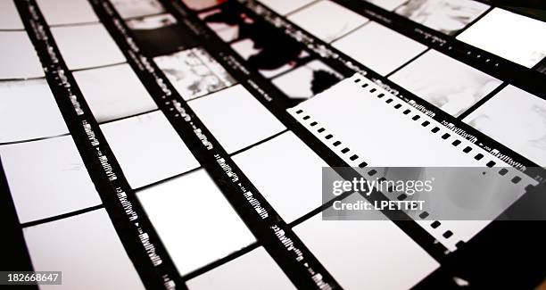 contact sheet - museum for film stock pictures, royalty-free photos & images