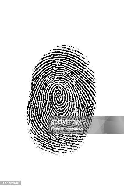 black fingerprint on white - finger print stock pictures, royalty-free photos & images