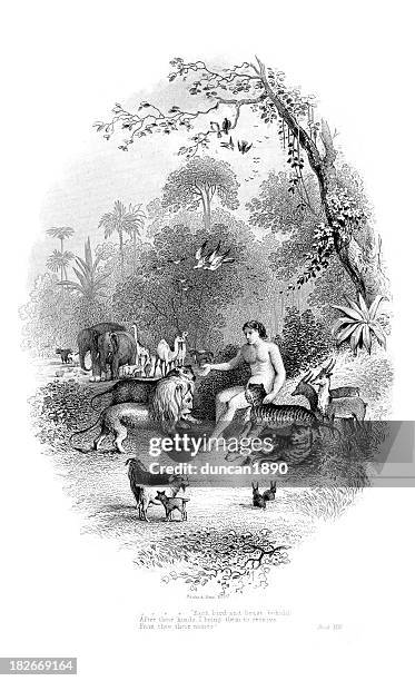 adam in the garden of eden - adam biblical figure stock illustrations