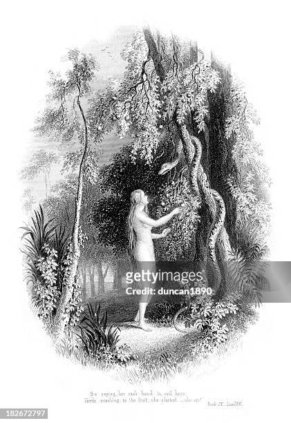 stockillustraties, clipart, cartoons en iconen met eve and the serpent - adam and eve in garden