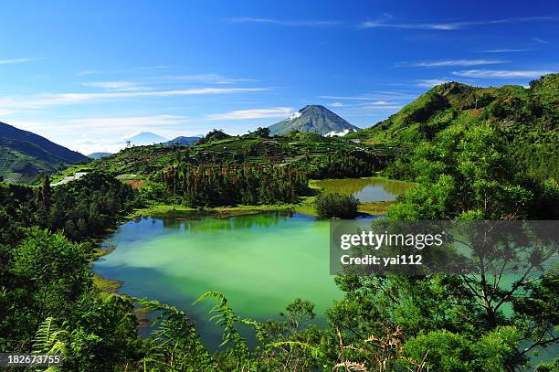 beautiful mountain and forest landscape with a colorful lake - indonesia bildbanksfoton och bilder