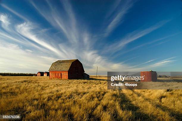 sky's alive!!! - saskatchewan prairie stock pictures, royalty-free photos & images