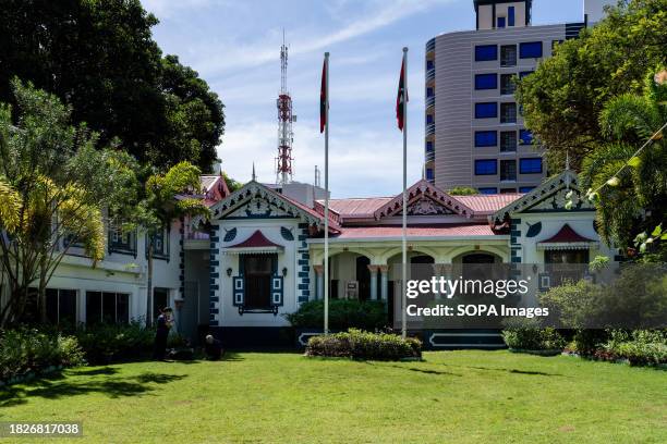 Muliaage Mulee Photos and Premium High Res Pictures - Getty Images