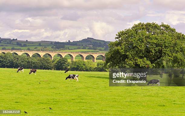 english countryside scenic in yorkshire - west yorkshire stockfoto's en -beelden