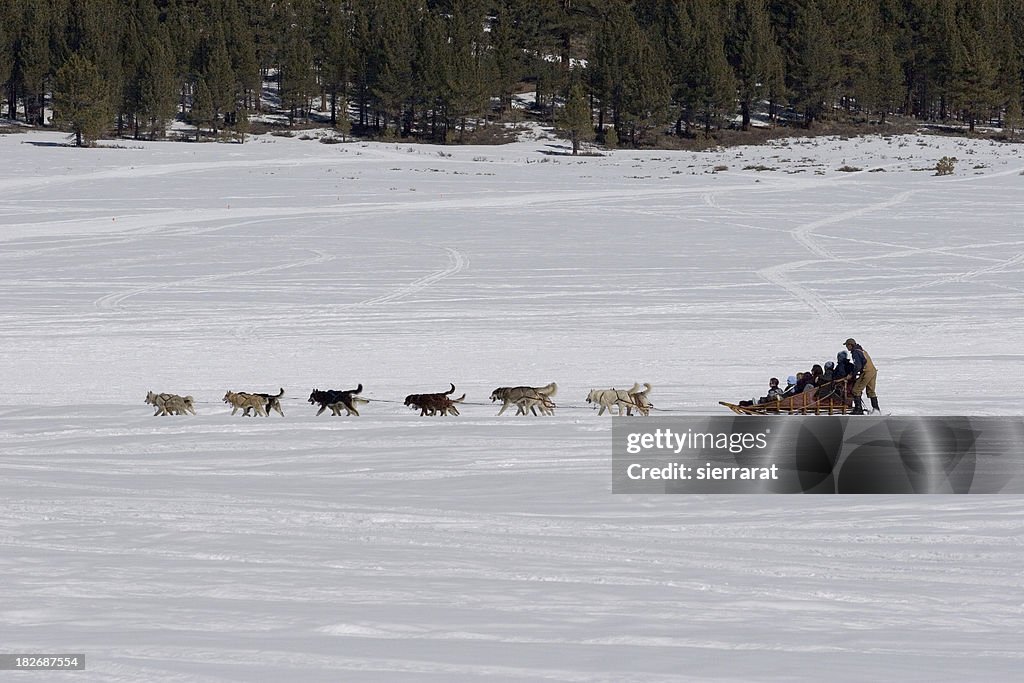 Dog Sled & Passengers